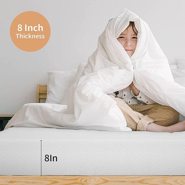 Artemisia 8" Cal. King, E.King, Full, & Queen Memory Foam Mattress